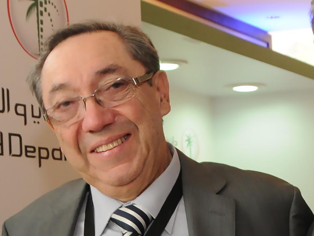 Sistemas Registrales: Eficacia en la protección jurídica del Derecho de Propiedad